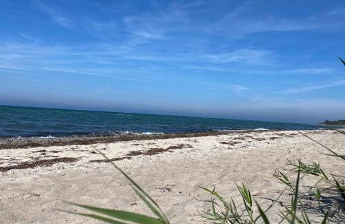 Ferienhaus " Sealounge " an der Ostsee, Sauna, Strandkorb, free W-LAN - SEASIDE - - Photo 18