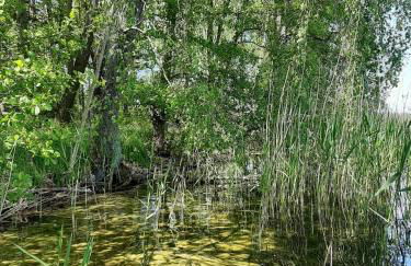 An den Sieben Seen - Foto 34