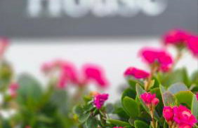 Irène House - Foto 4