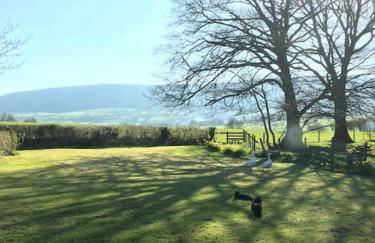 Spacious Cottage - Sleeps 4 - in the Black Mountains - Photo 44