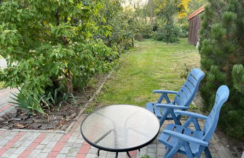 Agroturystyka ROGALA - Foto 33