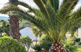 Palma Seaside Villa 1 - Foto 14