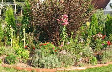 Agroturystyka Pokój na Skarpie - Foto 10