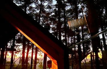 La negra - cabana entre araucárias - Foto 4