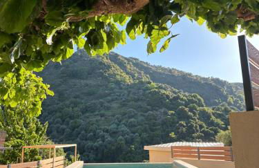 Nature dream 1833 - Photo 45