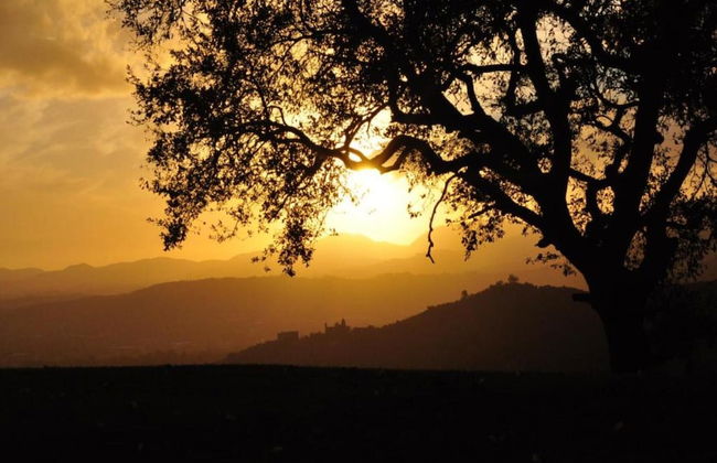 Capannori Playful Cottage - Foto 35