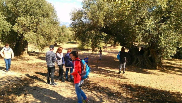 Tour in Ulldecona - Photo 3