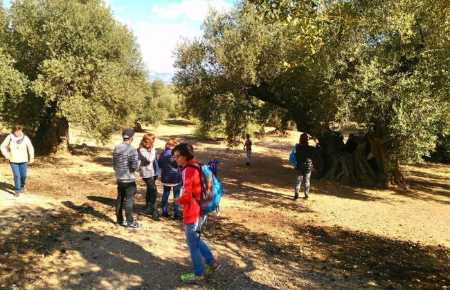 Tour in Ulldecona - Photo 3