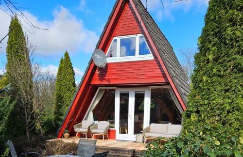 Nurdachhaus auf großem Grundstück - Foto 1