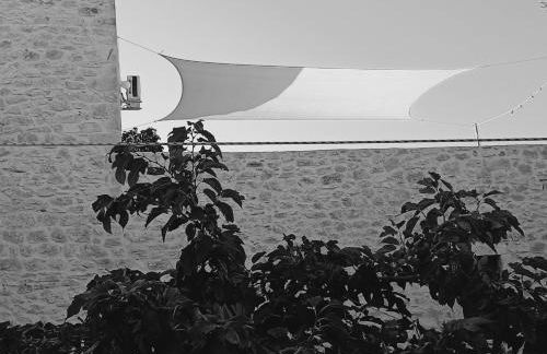 Pandera areopoli - Foto 24