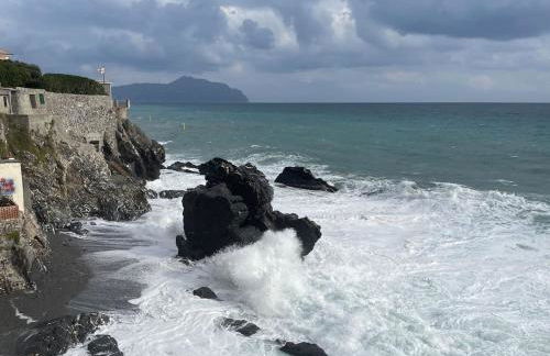 Gioiellino a Genova Nervi vista mare - Foto 18