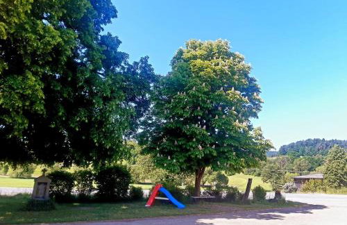 Fleischmannhof Do san ma dahoam - Photo 35