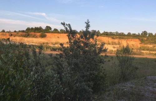 Ferienwohnung zwischen Wald und Reben - Foto 26