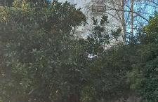 Studio rez de Chaussée rénové tout confort à proximité Thermes et casino - Foto 10