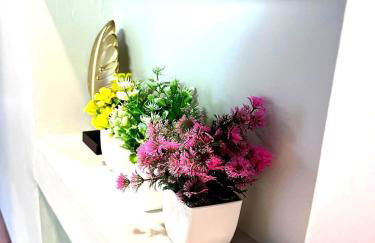 Raleigh With Daylor - Foto 30