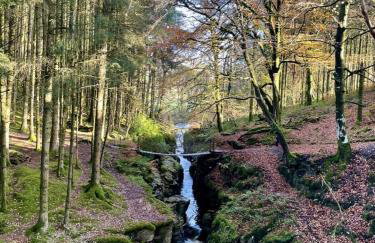 Taylor Way - Superb Apartment with Living Room and Private Gated Parking - Foto 28