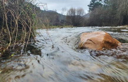 Río Hereza - Foto 17
