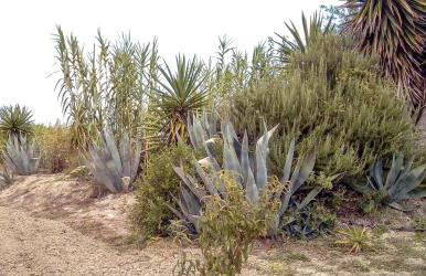 Aroggia Farm - Foto 78