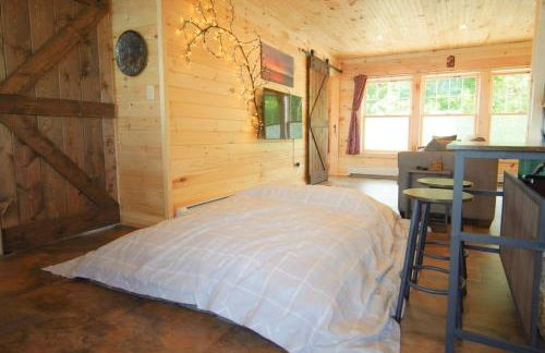 Loza house adirondack skydeck unit lake front - Foto 16