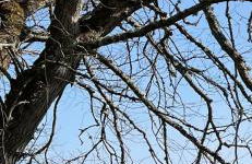 Charleston Apartment Self Catering 5 min drive from town centre - Photo 19