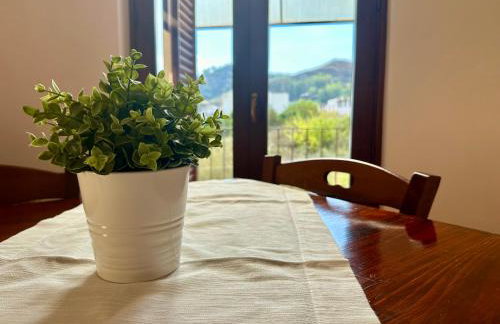Villa Saraceno - Photo 29