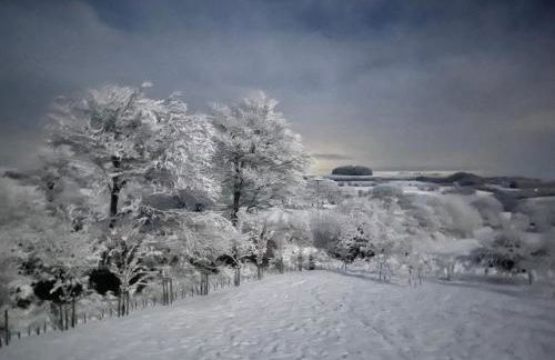 Winstitchen Cottage situated near the River Barle - Foto 62