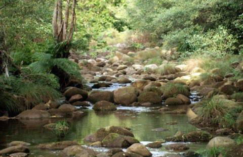 Casa do Vale de Cerva - Foto 29