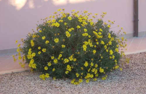 Agriturismo La Rosa Montefalco - Foto 29