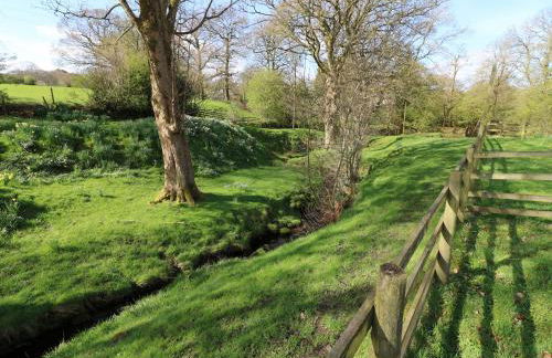 Mill Dam Farm Cottage - Foto 33