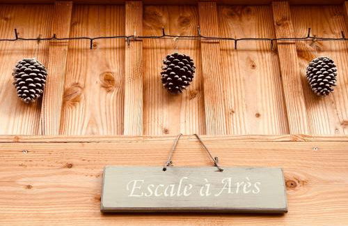 Cocon entre presqu'île du Cap Ferret et plages océanes - terrasse - 1 vélo gratuit - Foto 38