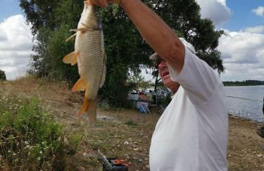 MONTE DO SALTO DA RAPOSA - Foto 39