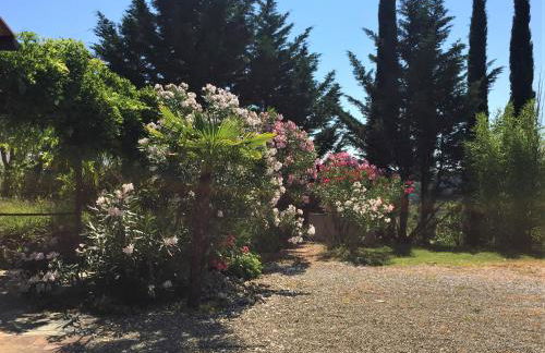 Poggio Magginga - Foto 6