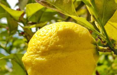 Le Due Terrazze - Foto 32