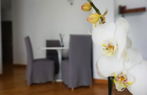 Casa Isola Viscontea - Foto 6