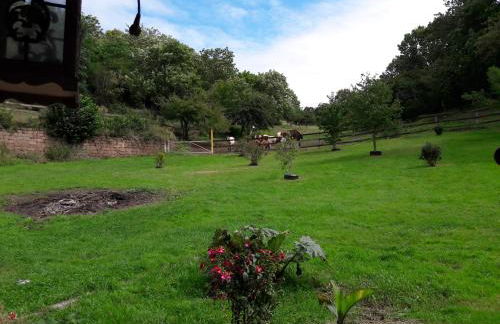 Pension Kroppental - Foto 40