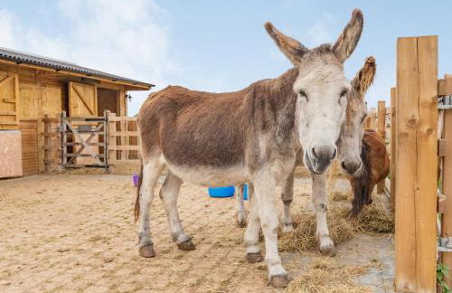 The Old Farmhouse - Foto 31