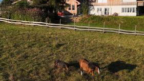 Gronewald's Mountain View Holidays - Foto 2