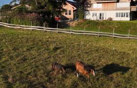 Gronewald's Mountain View Holidays - Foto 2