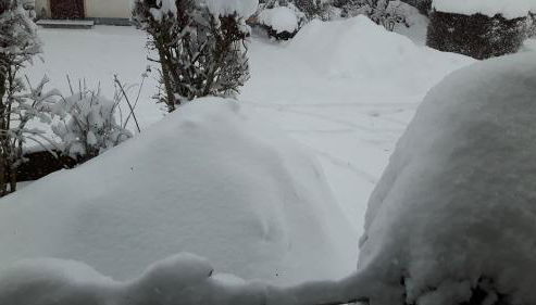 Ferienwohnung Schwarzwaldglück - Foto 4