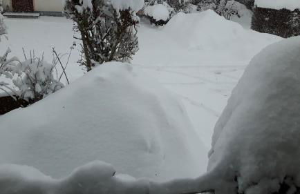 Ferienwohnung Schwarzwaldglück - Foto 4
