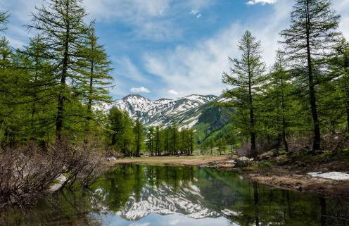 La maison des Guides - trilocale a 500 mt dalle piste di Dolonne - Foto 71