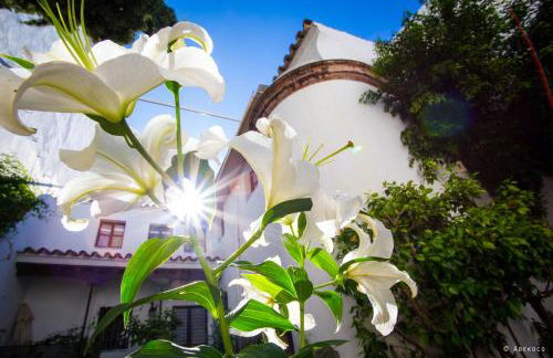 Casa del siglo XVII - Foto 3