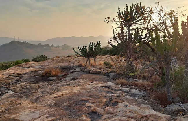 AtNature Luxury Self Catering Cottages - Photo 57