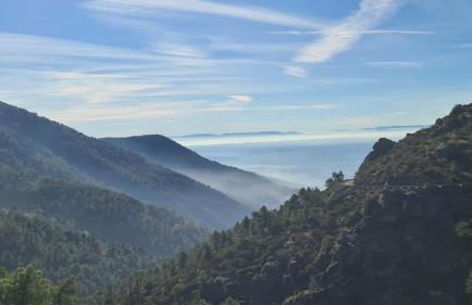 Hospederia Doña Ligia - Foto 49