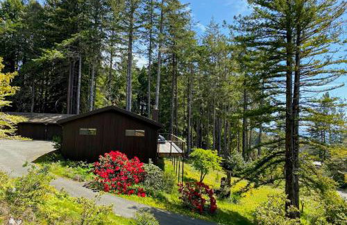 Sea Raven - Photo 21