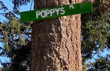 Cabin - Hot tub - Fire pit - View - Getaway! - Foto 41