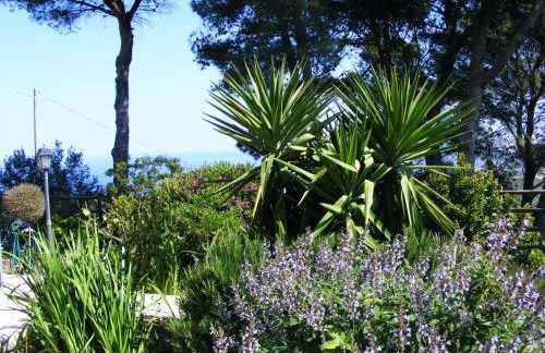 Brezza D'Estate - Foto 45