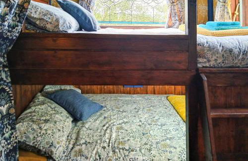 Rosie - Uk49025 - Foto 9