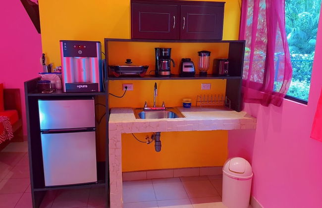 Caribbean Blue Morpho - Foto 13