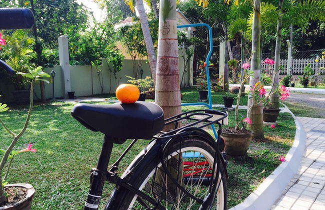 Peacock Villa - Photo 18